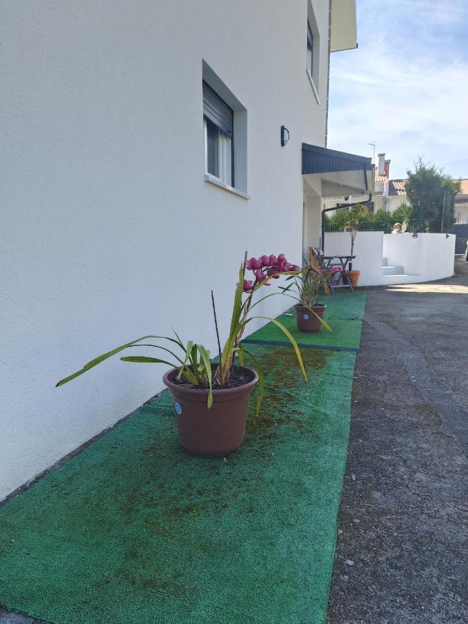 Cabedelo Seaside Guesthouse Viana do Castelo Exterior photo